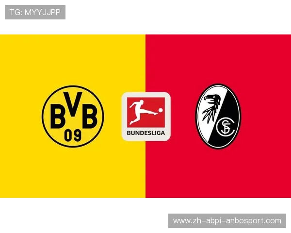 弗赖堡属于德甲哪支球队?俱乐部结构解析 弗赖堡属于德甲哪支球队?俱乐部结构解析